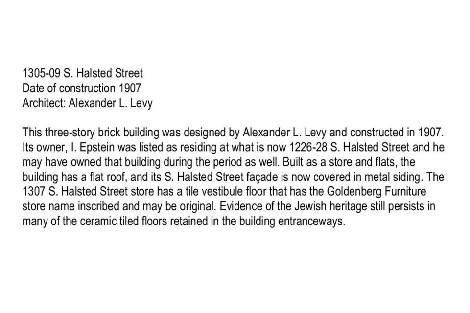 44-1305-09 S Halsted Street-page-001 Crop